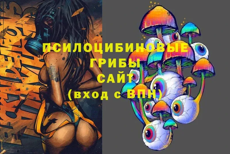 Псилоцибиновые грибы Cubensis  где продают   Кадников 